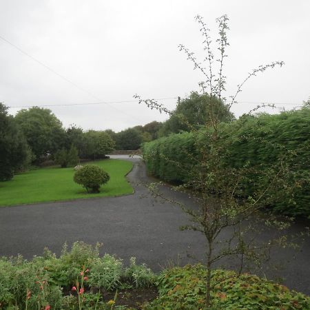 Abbey View Bed & Breakfast Galway Eksteriør billede