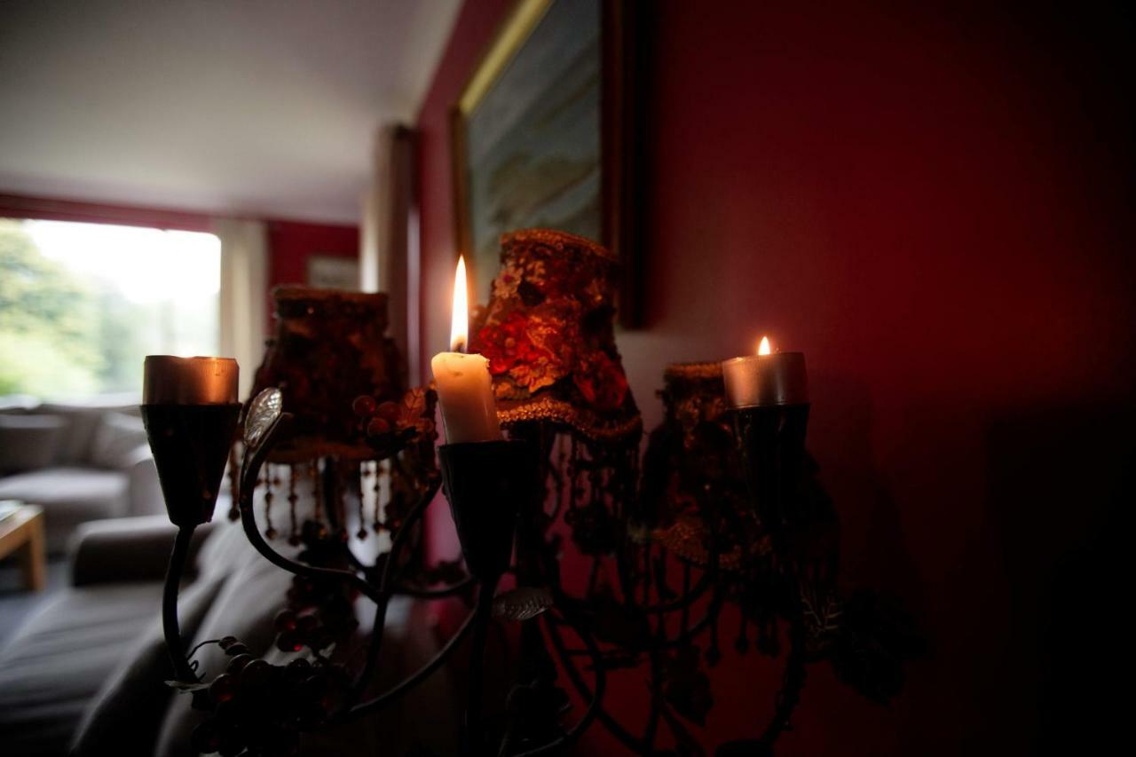Abbey View Bed & Breakfast Galway Eksteriør billede